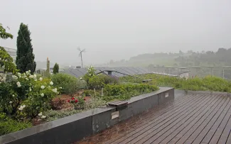 Dachgarten im Regen