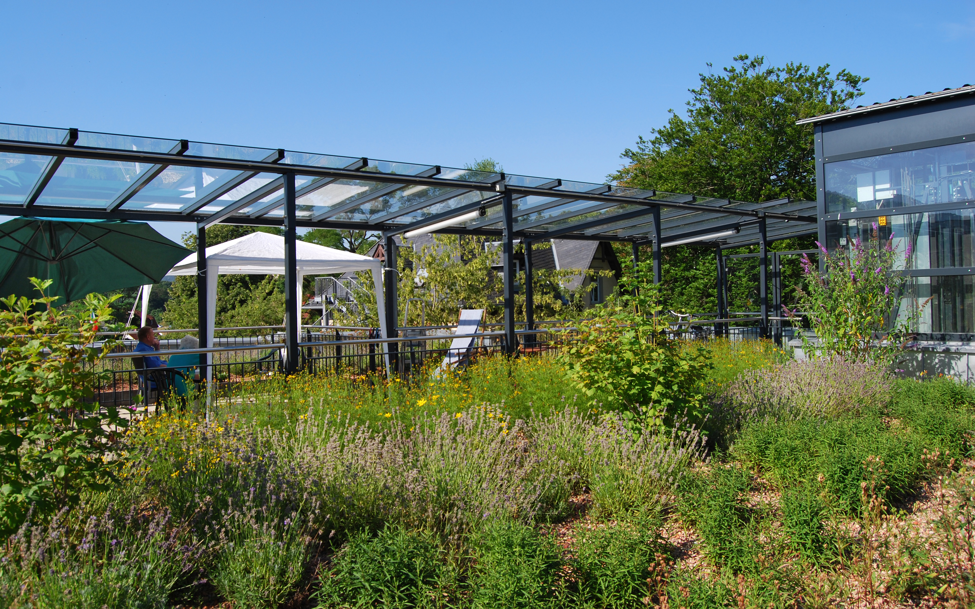 Mit Glas überdachter Bereich auf einem mediterran blühenden Dachgarten