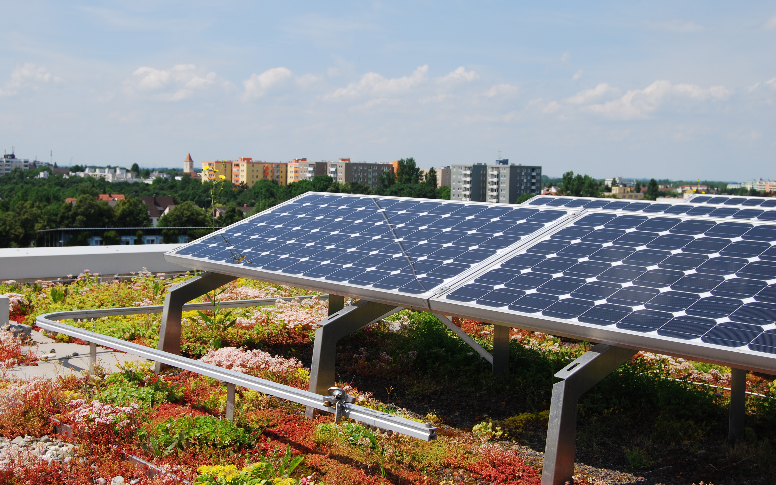 Blühende Sedum-Begrünung und eine Photovoltaik-Anlage