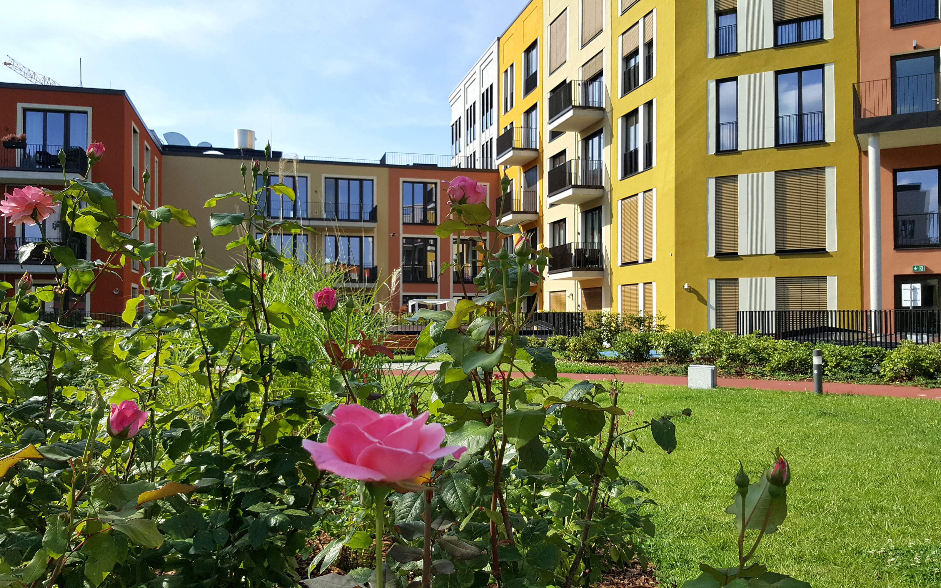 Wohnanlage mit Rasen, Tartanlaufbahn und blühenden Rosen