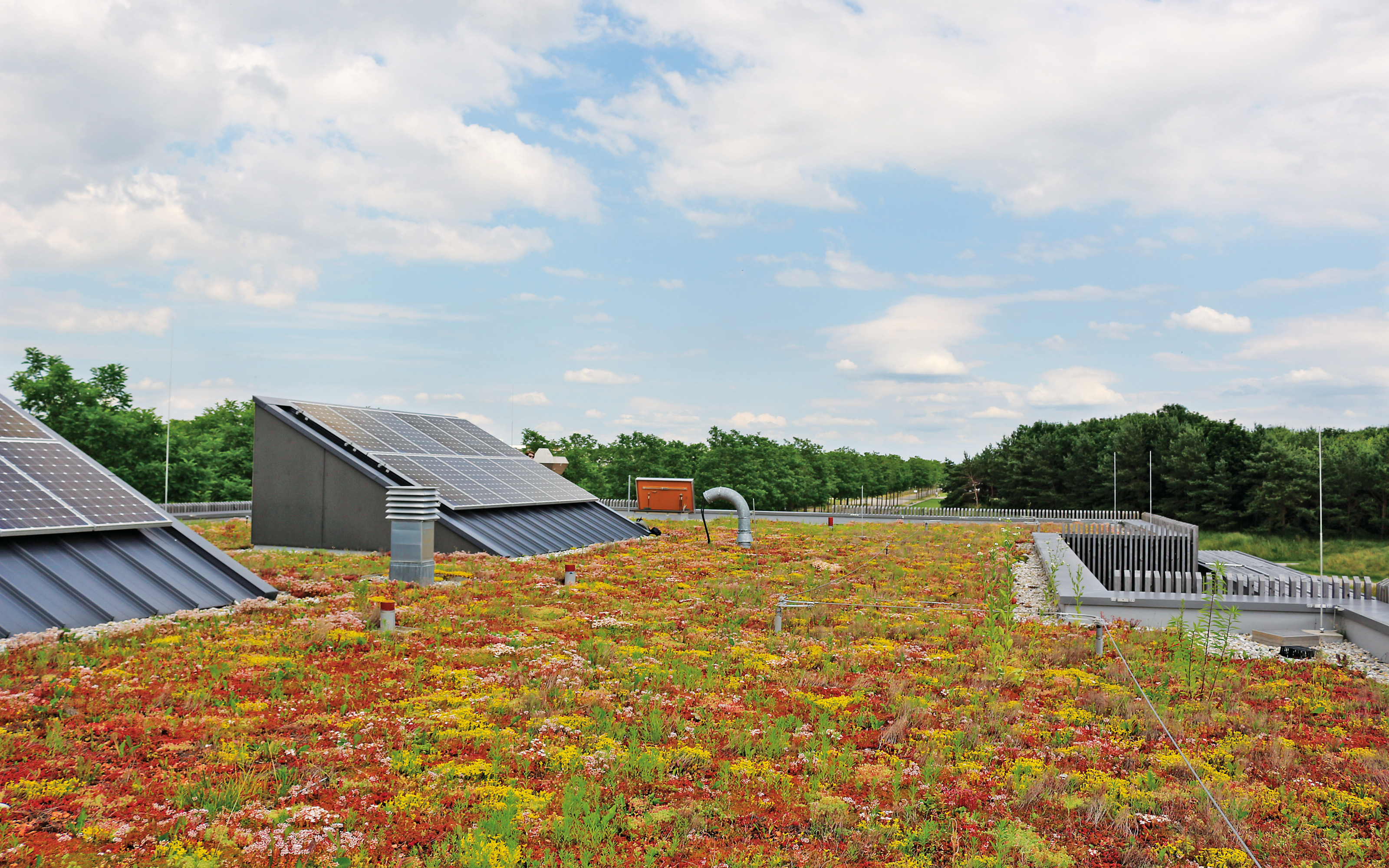 Extensive Dachbegrünung mit Photovoltaik