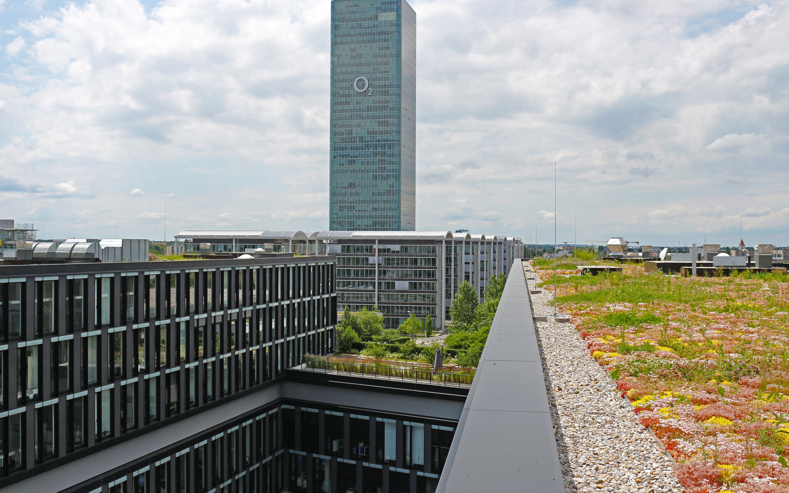 Blühendes Sedum-Dach und Dachgarten