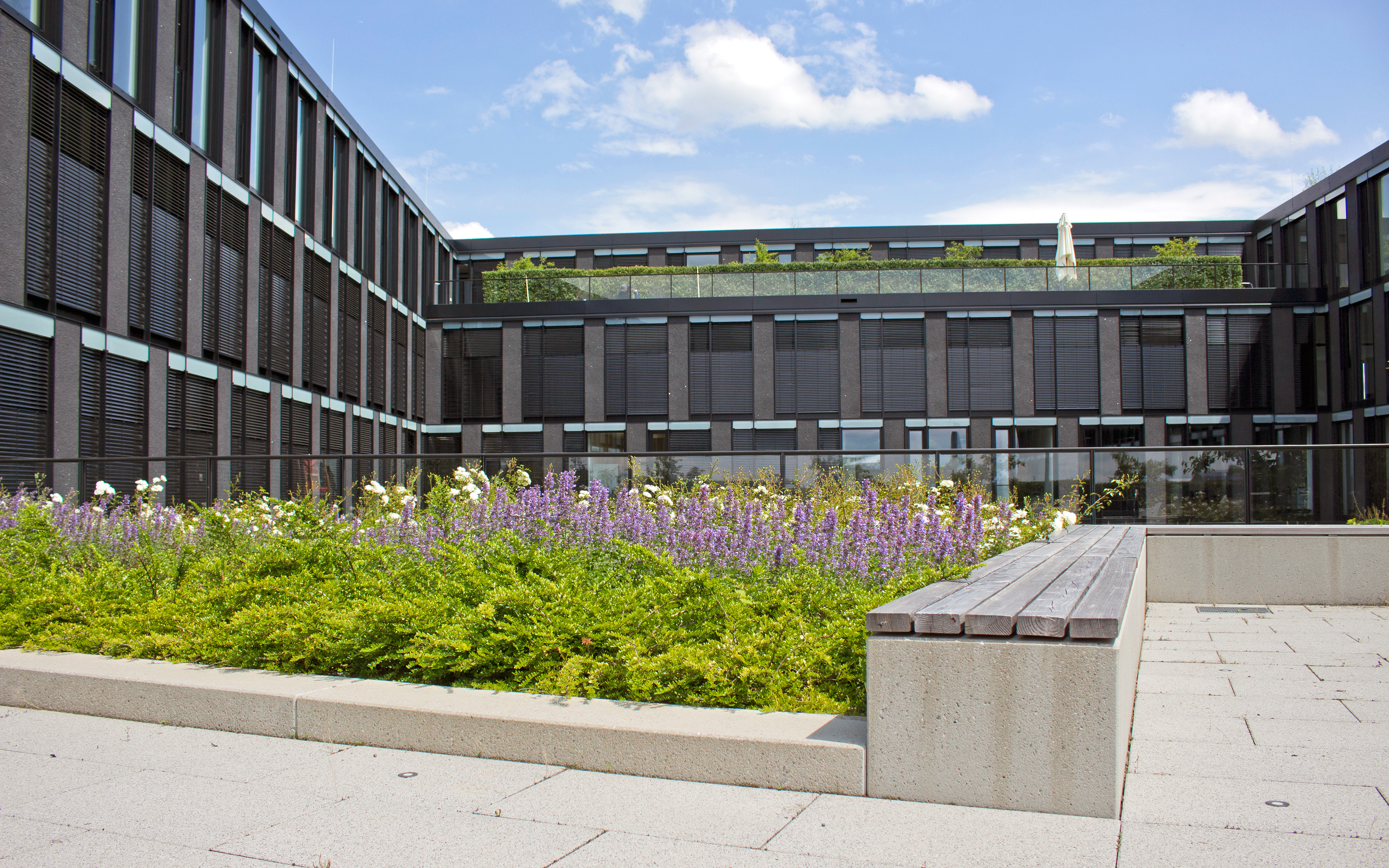 Bank und Pflanzbeet mit Lavendel auf einer Dachterrasse