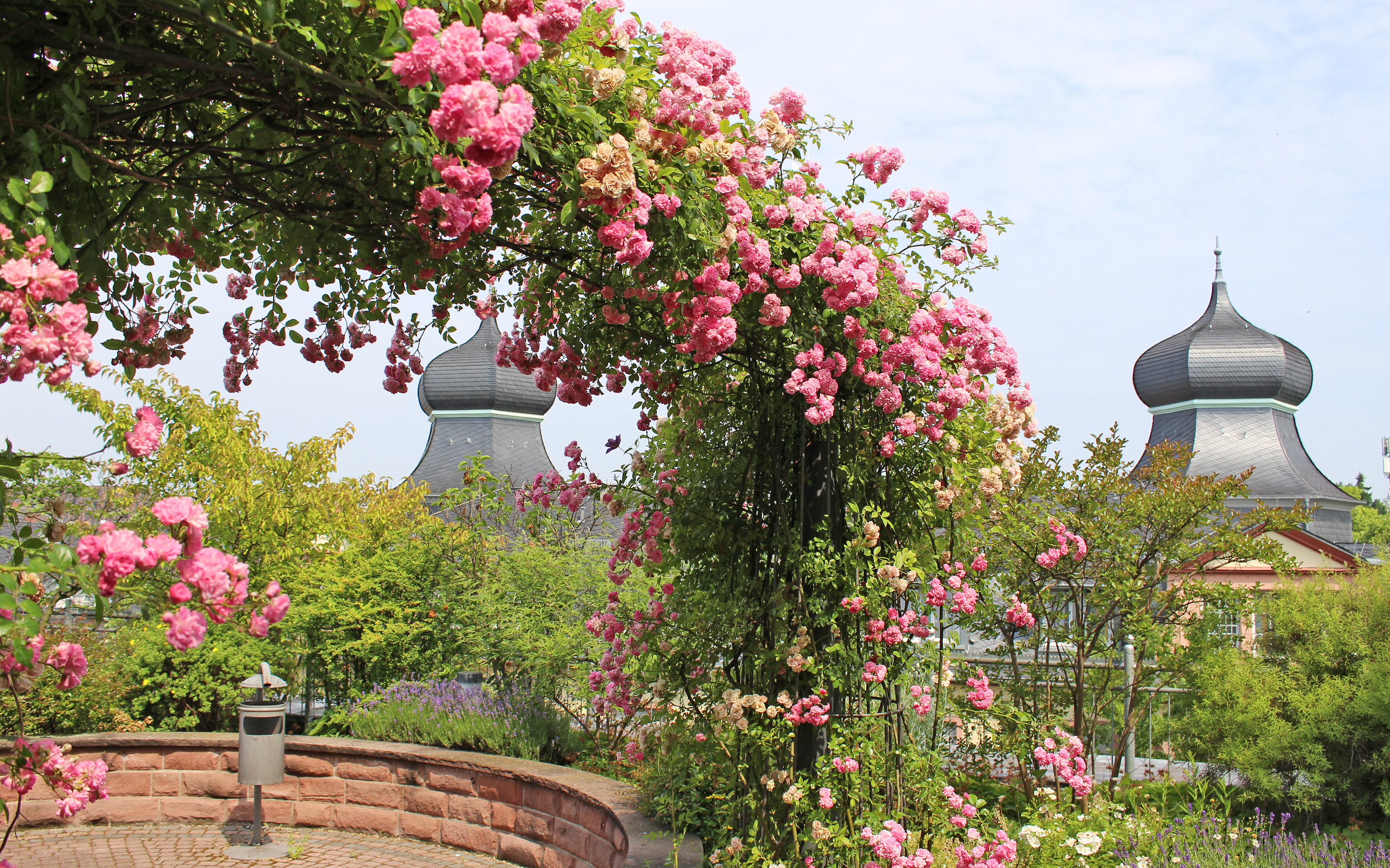 Dachgarten mit rosa blühendem Rosenbogen