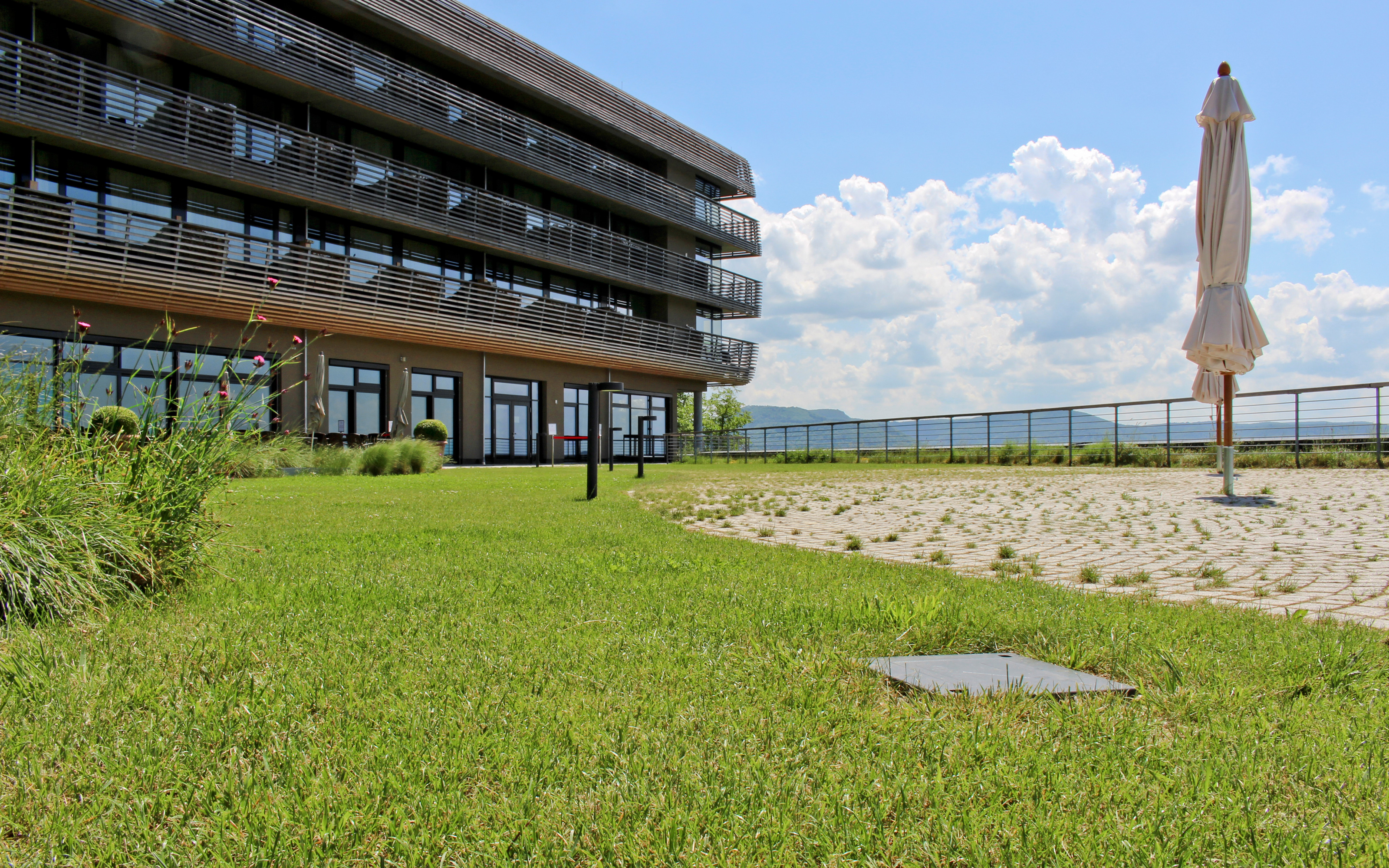 Dachgarten mit Rasen, Sonnenschirmen und Geländer