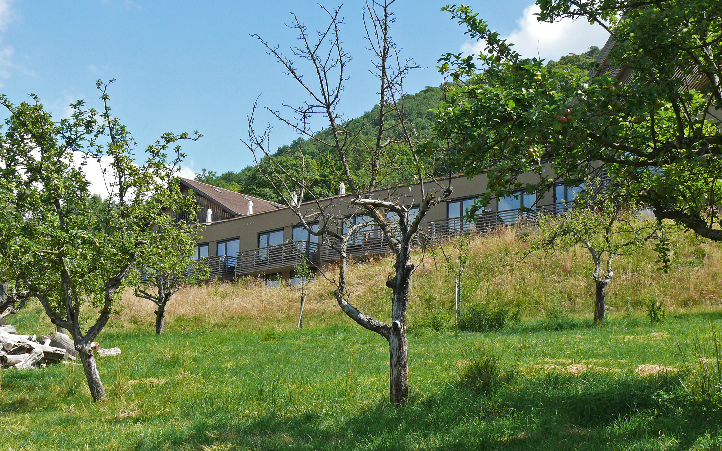 Hotelgebäude und Wiese mit Obstbäumen am Hang