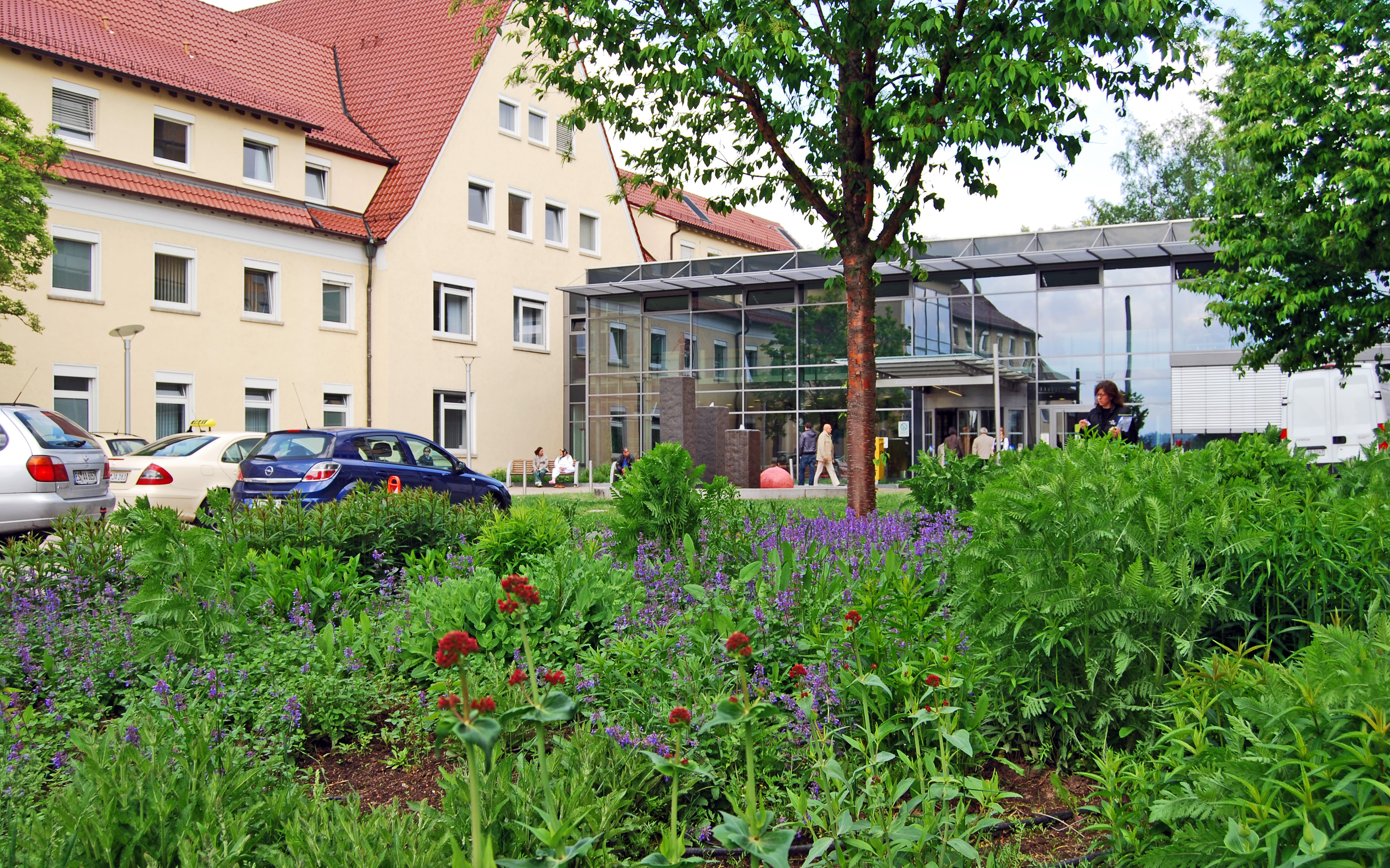 Grünfläche mit Stauden und Bäumen vor einem Gebäude