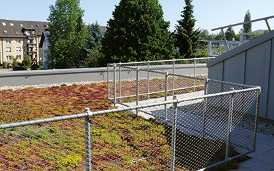 Gründach mit Geländer