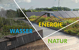 Gründach mit Solar und im Regen