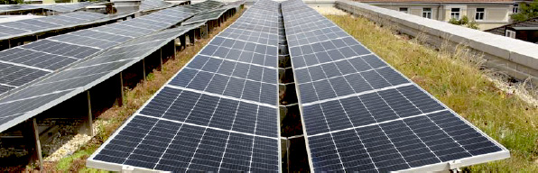 Gründach und Solar