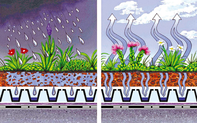 Regen und Verdunstung auf dem Gründach