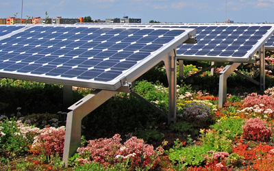 Blühende Dachbegrünung mit Solaranlage