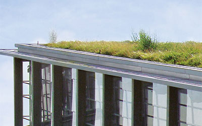 Begrüntes Dach mit Gefälle