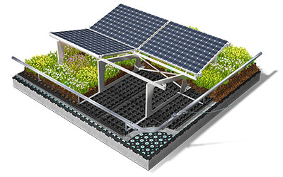 Grafik Solar Schmetterling
