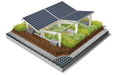 Gründach und Solar 
