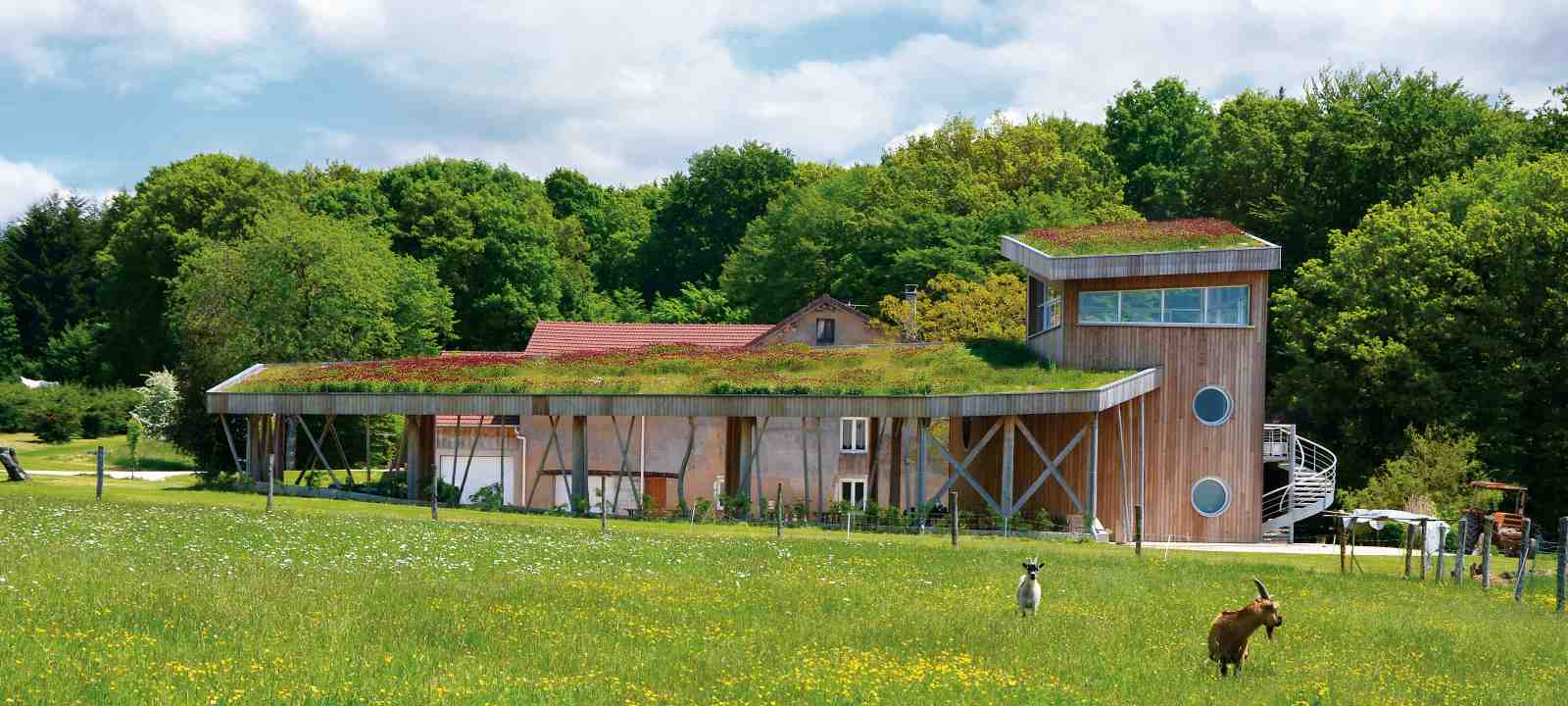 Bauernhof mit extensiv begrüntem Dach