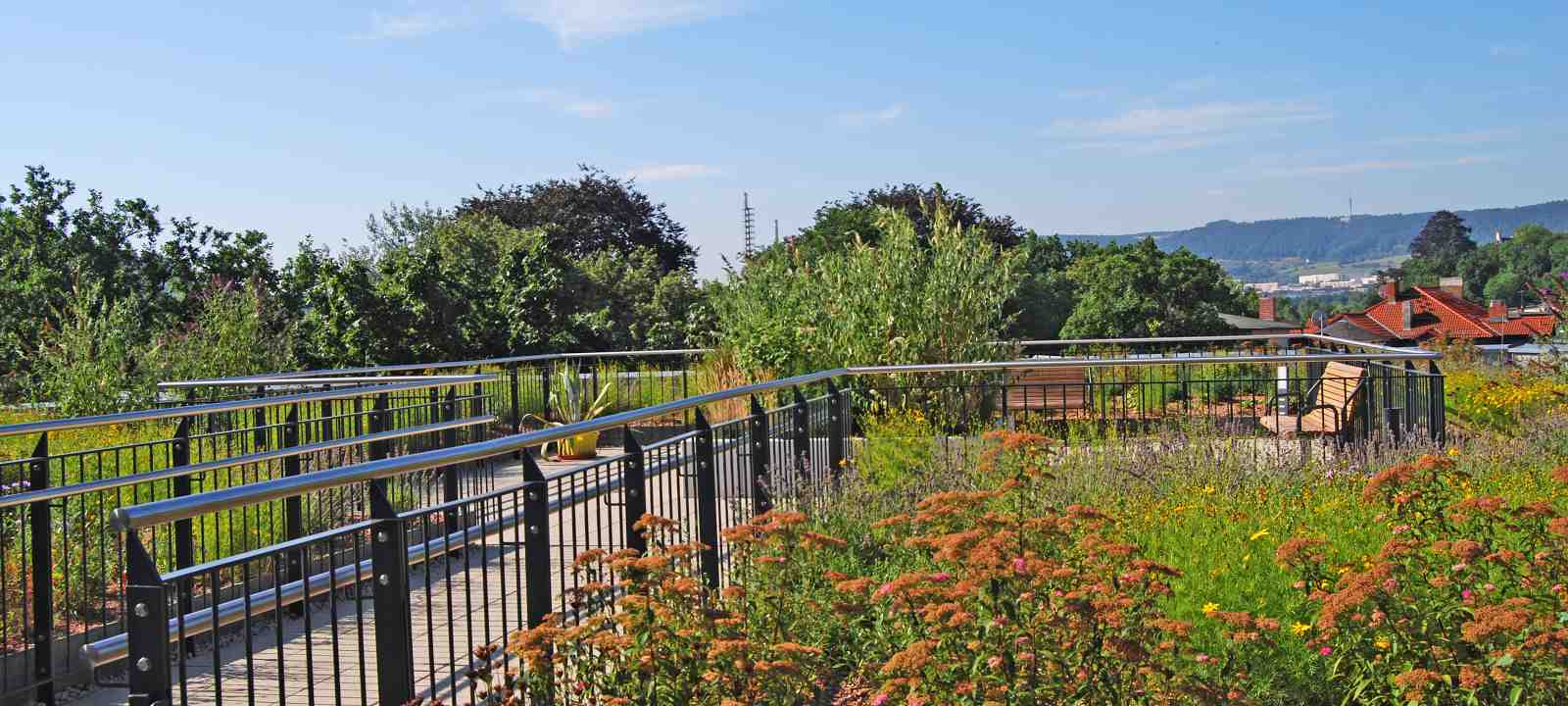 Mediterran begrünter Dachgarten mit Terrassenbereich und Bänken