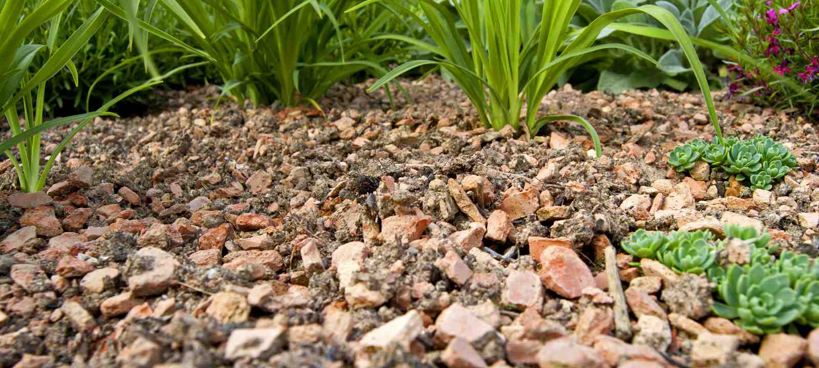 Sustratos ZinCo para cubiertas verdes