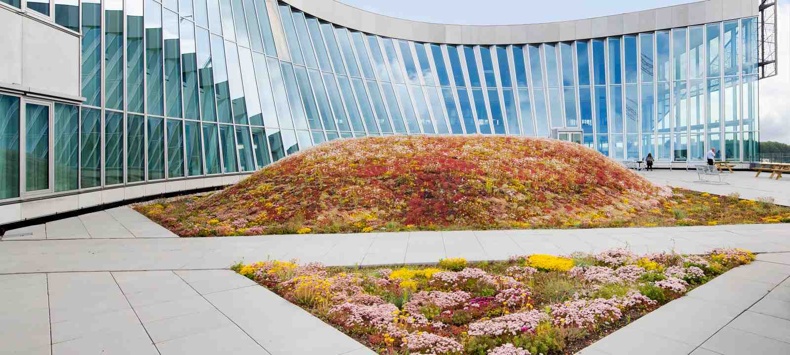 Dachterrasse mit Gehbelägen und mit Sedum begrünten Bereichen