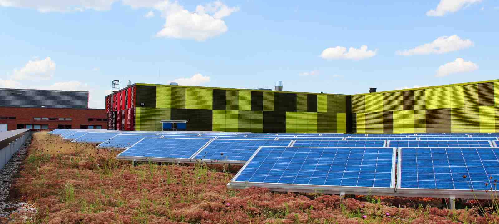 Begrüntes, blühendes Dach mit Solaranlage