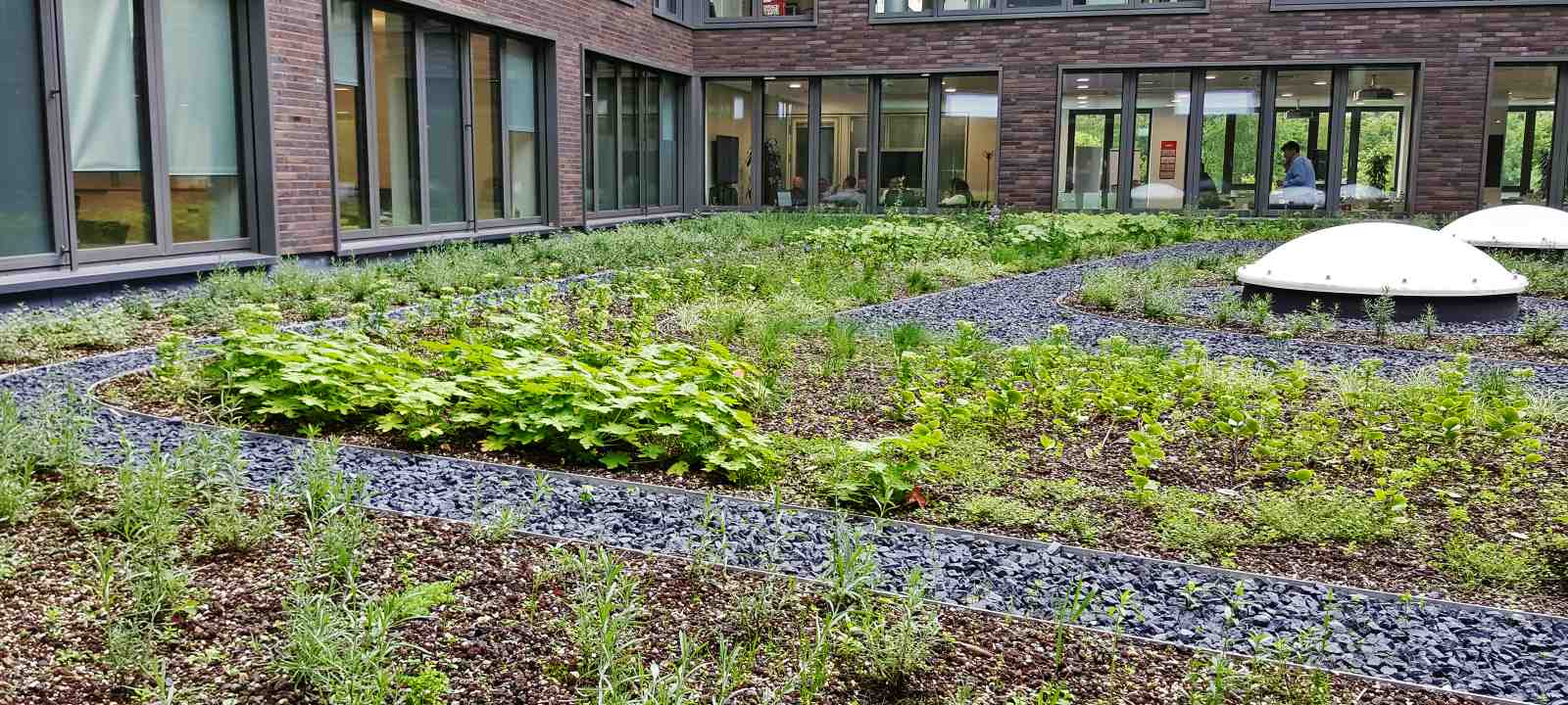 Innenhof mit Vegetation und Kiesbereichen