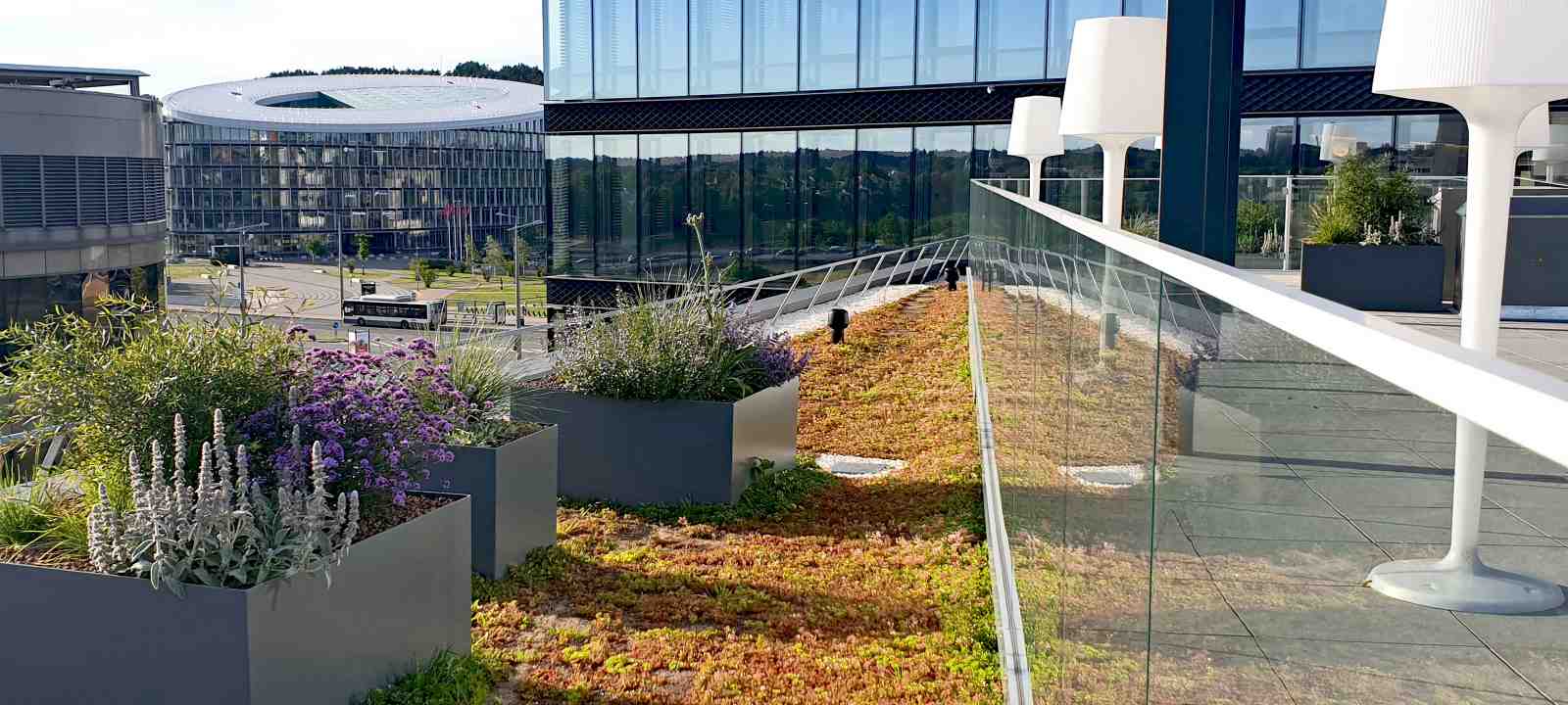 Dachterrasse mit Dekor-Lampenschirmen und Sedum-Dach mit Pflanztöpfen