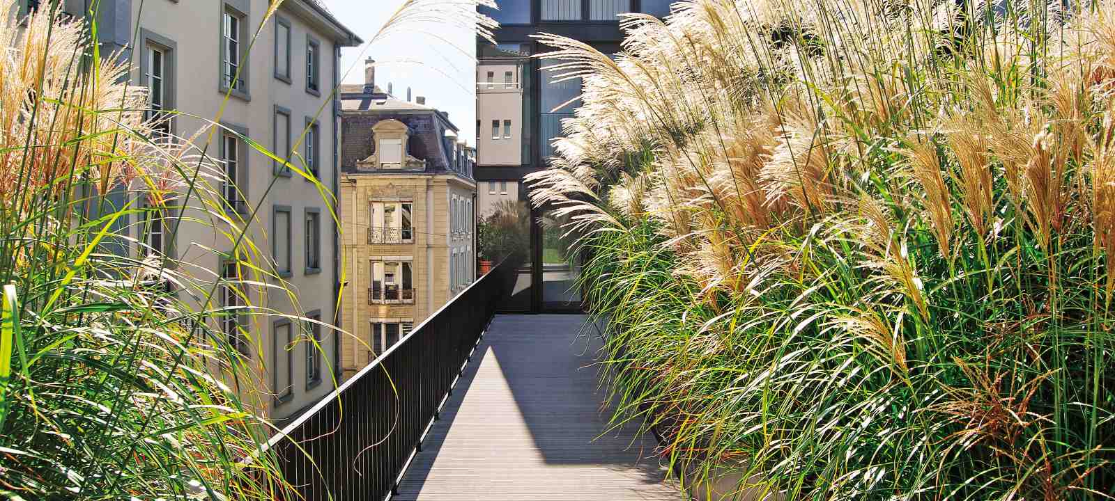 Dachterrasse mit Schilfgras und Geländer