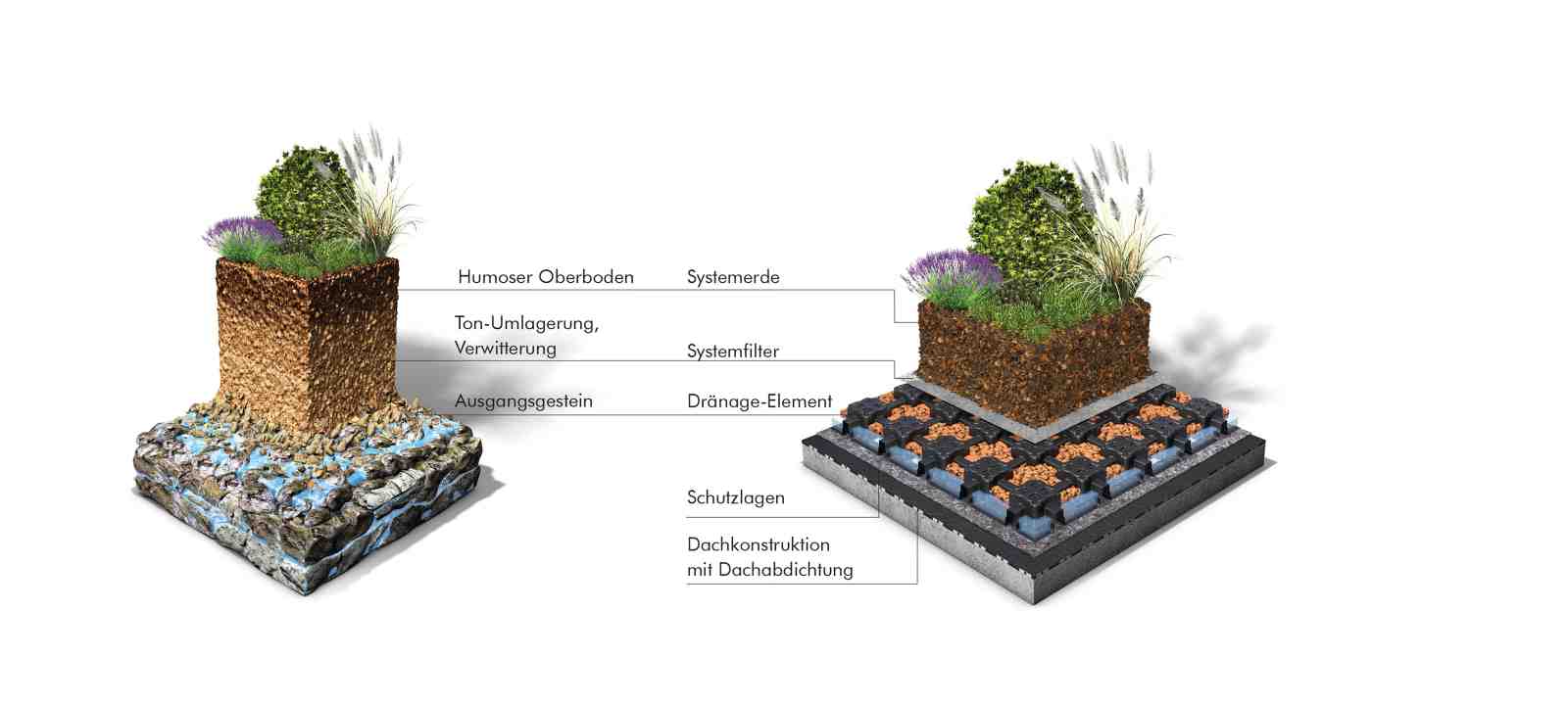 Natur und Gründachaufbau als Grafik