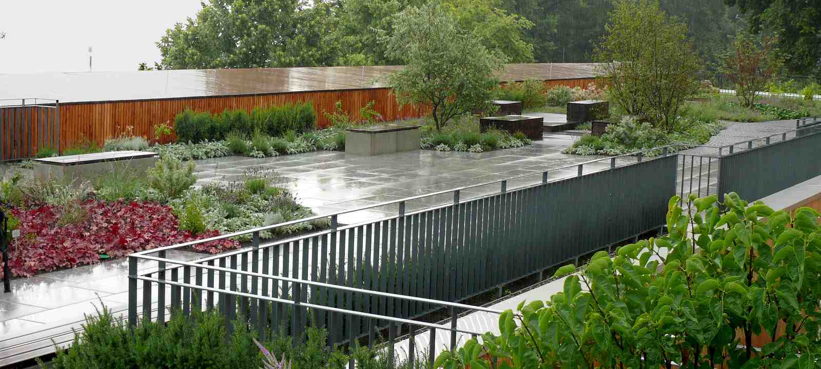 Dachgarten im Regen
