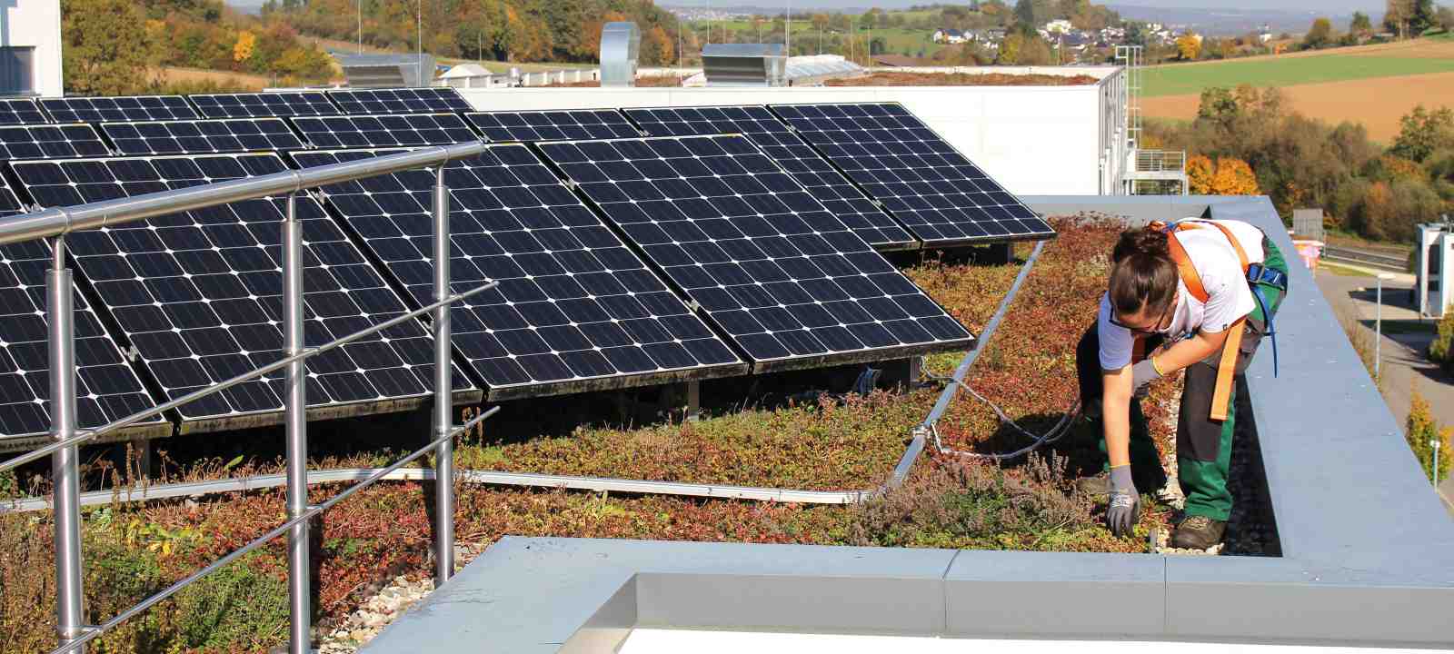 Dachgärtnerin mit Absturzsicherung auf einem Gründach mit Solar