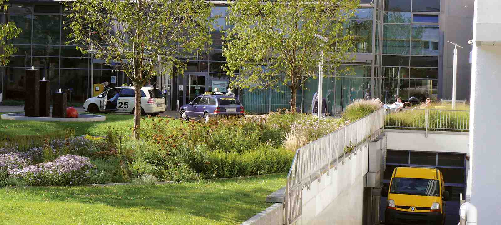 Begrünte Tiefgaragendecke mit Autos