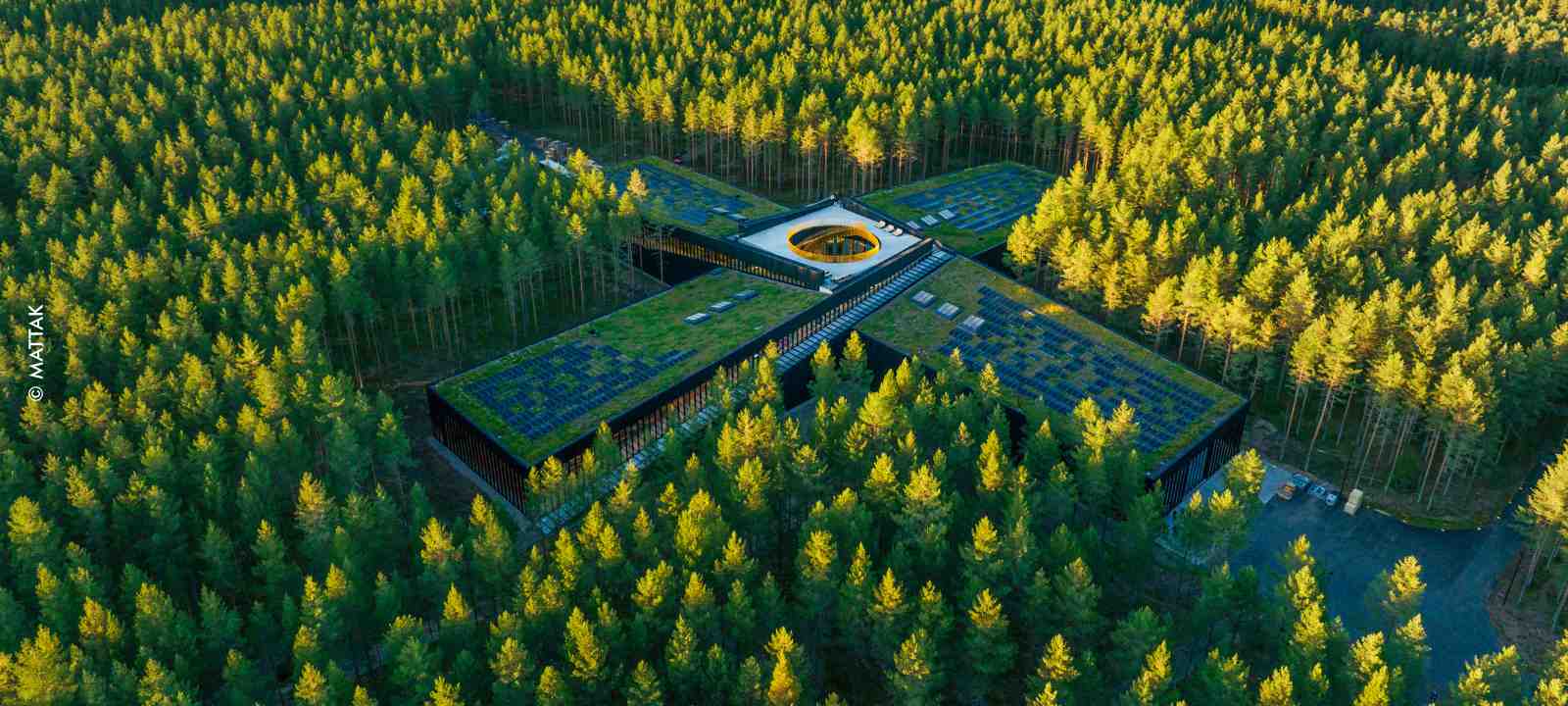 Industriegebäude mit Gründach und Solar im Wald