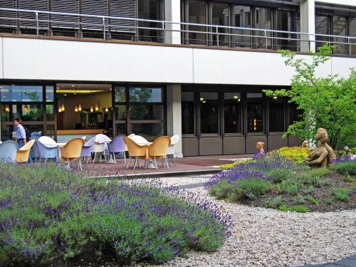 Innenhof mit Lavendel und Skulpturen