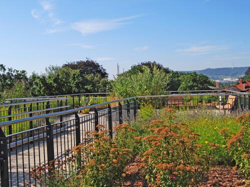 Mediterran begrünter Dachgarten mit Terrassenbereich und Bänken