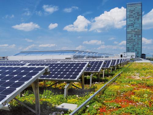 Blühendes Sedum-Dach mit Solaranlage