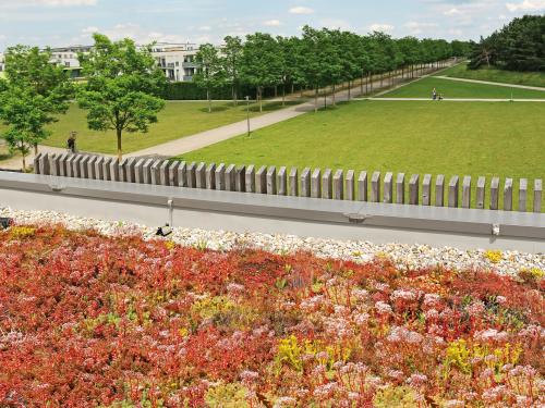 Extensiv begrüntes Dach in grüner Landschaft mit Wald und Wiesen