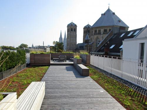 Dachterrasse mit Sitzmöbeln, Holzbelag und Substrat mit Pflanzung