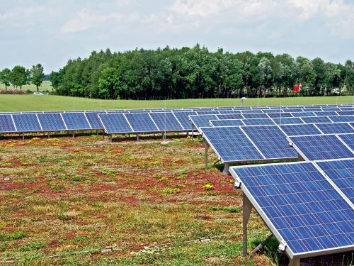 Extensive Dachbegrünung mit Photovoltaik