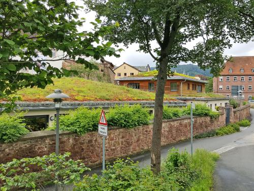 Begrüntes Schrägdach vor einer Steinmauer