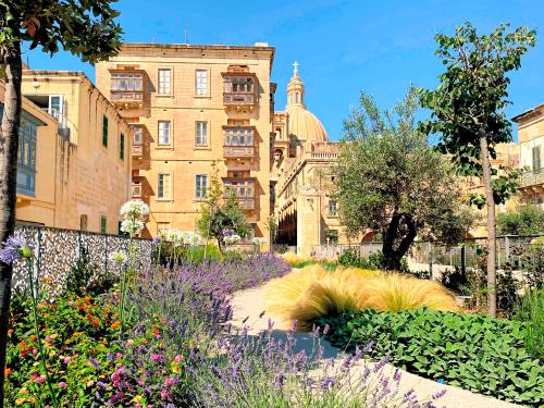 Dachgarten mit Lavendel, Stauden und Olivenbäumen