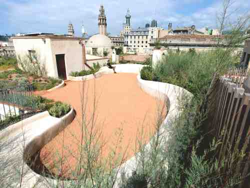 Mediterraner Dachgarten in historischer Kulisse