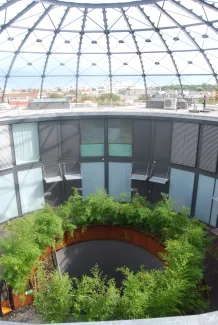 Der begrünte Innenhof liegt um den ehemaligen Bunkerlüftungsschacht. Hier führt auch eine Stahltreppe als zweiter Rettungsweg nach unten. Die rostfarbenen Bambuströge dominieren das Bild. Begrünter Innenhof um den ehemaligen Bunkerlüftungsschacht