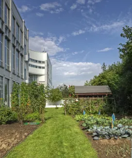 Schrebergarten auf dem Dach