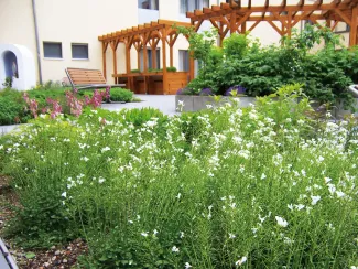 Dachgarten in voller Blüte