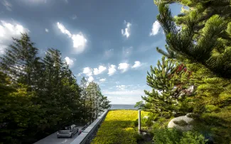 Blick von der Straße auf das Sedum-Dach