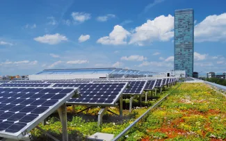 Dachbegrünung mit Sedum und Solaranlage