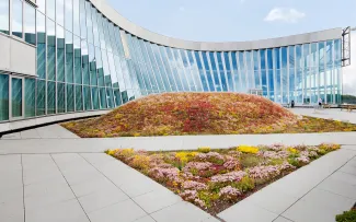 Dachterrasse mit Gehbelägen und mit Sedum begrünten Bereichen