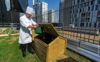 Koch wirft Abfälle in einen Kompostbehälter auf dem Dach