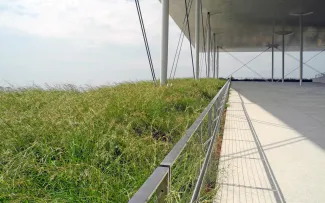 Terrasse grenzt an große Fläche mit hohen Gräsern