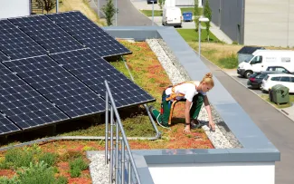 Person mit Absturzsicherung auf einem Flachdach mit Begrünung Solar